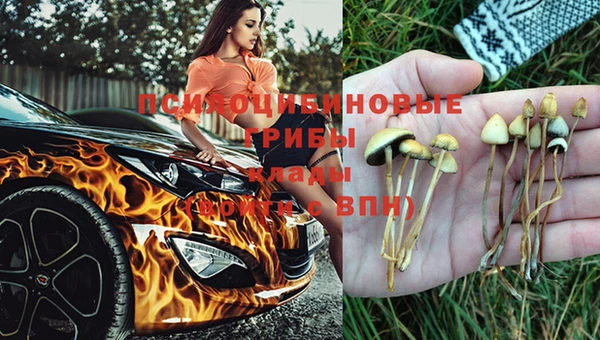 мяу мяу кристалл Алексин
